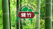 建竹竹制品