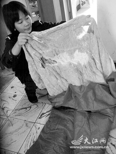 �����ރȲص�Ƭ�uʺ�c�W����ͬ�ߡ�