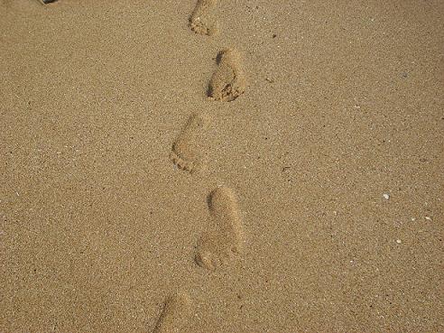 ʩ�����������΄��I�ɹ���