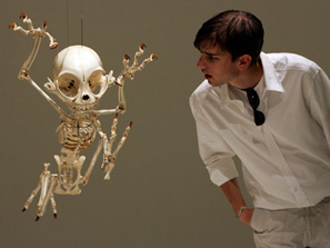 ��ʿ����ͨ�������tչ