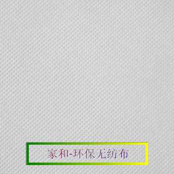 長(zhǎng)絲無(wú)紡布