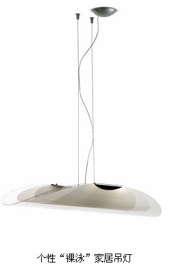 在淡雅中搶看今冬家品流行風 個性“裸泳”家居吊燈