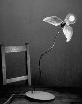 �����_���w�r�мҾ�