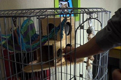 韓庚北京"蝸居"曝光