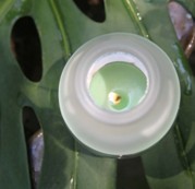 ǧԊ�̿���޹��Ʒ�������