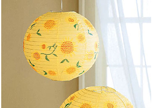 ���Źŵ���c�������L��