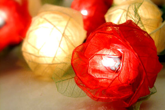 ���Źŵ���c�������L��