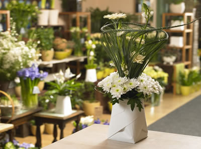 �����Ļ�ƿ��(chu��ng)�������{(di��o)