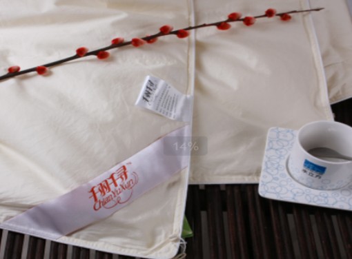 ǧ��ǧ����q��2010��Ʒ�l(f��)����