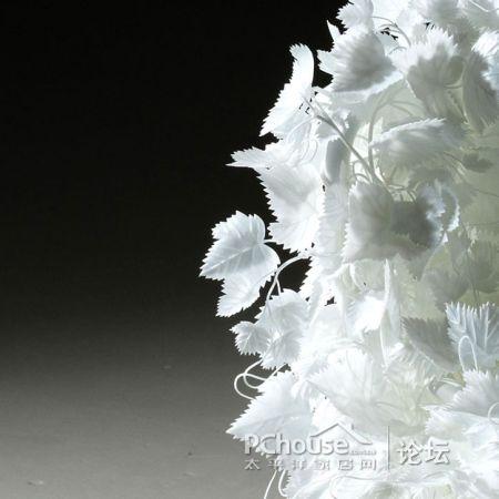 花白的樹葉椅,有創意但很孤獨