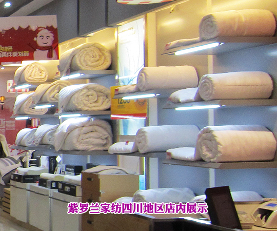 牽手紫羅蘭開創(chuàng)新人生