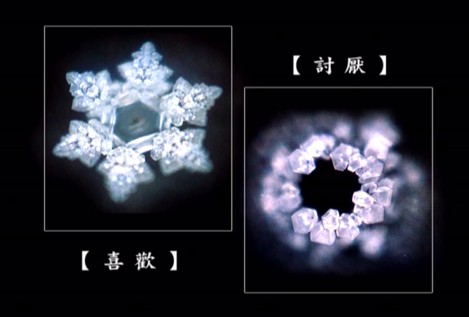 ���z��o�o��ˮ֪���𰸡�