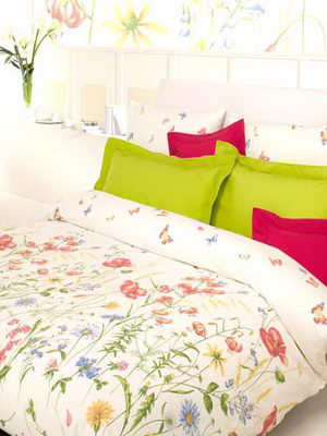 ������ˇ��������ɫ��