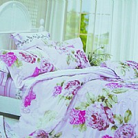 �L(f��ng)�˻���(FLTL012-4)