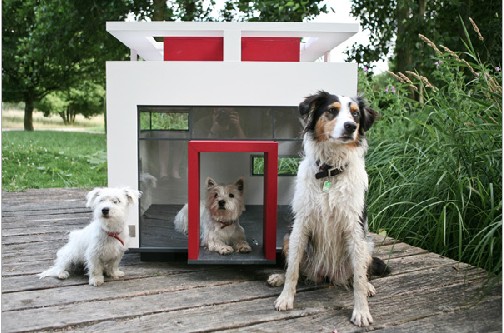 ��ጙ��Ҿ��ɻ���˼�����OӋ(�M�D)