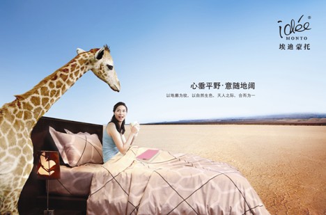 埃迪蒙托:自然休閑簡約夢