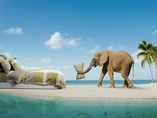 埃迪蒙托:自然休閑簡約夢