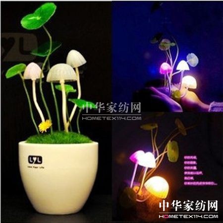 可愛小夜燈點亮家居生活(組圖)