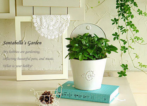 5����g��ľGֲ���䷨