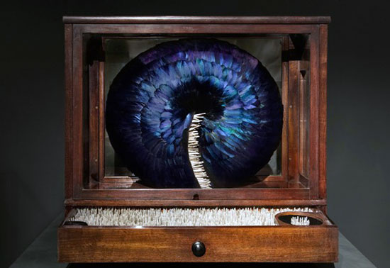 �������}����ϵ����ë����