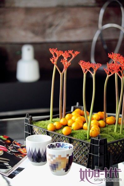 蔬果扮成家居飾品