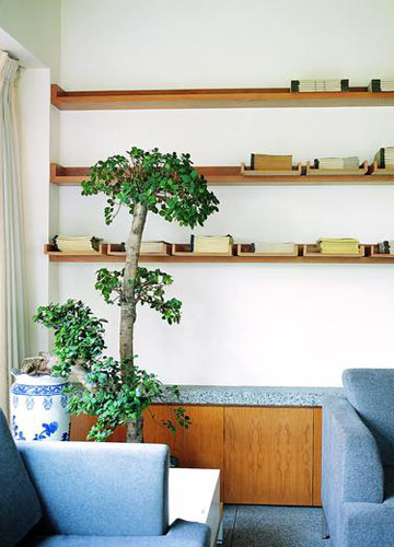 書香物語品位的居家生活