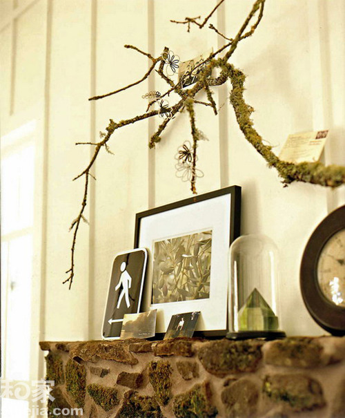 用樹枝演繹家裝森林系之家(一)