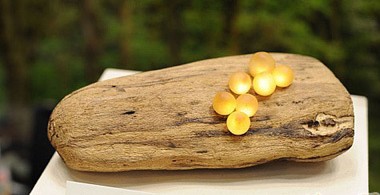 創(chuàng)新LED燈樹樁上的小蘑菇