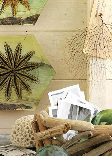 ľɫ����Ʒλ��Ȼ�Lζ���