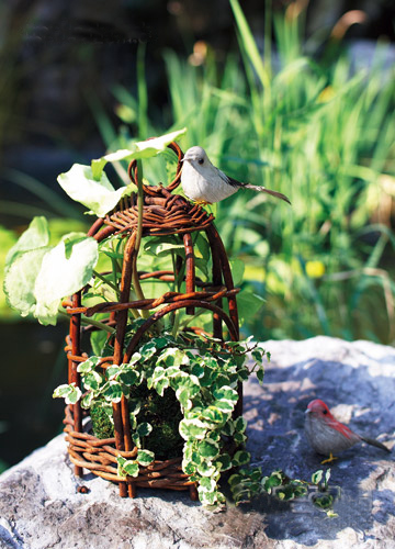 禪意盆栽靜意生活