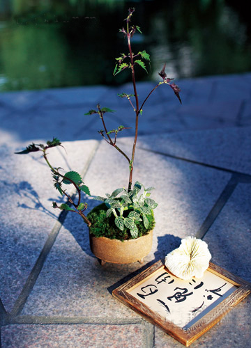 �U�������o������