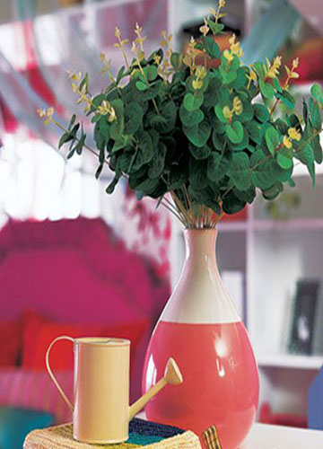 喜悅家居氣氛紅妝淡抹總相宜