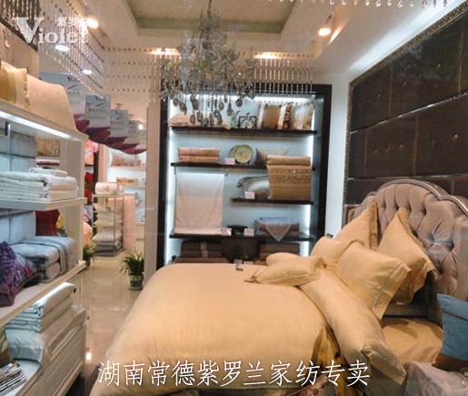 紫羅蘭品牌加盟商金君:有夢(mèng)的心靈異彩紛呈