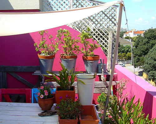 生活實驗:色彩風格大膽混搭之家(下)