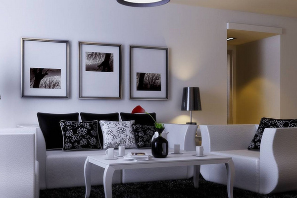 永恒經(jīng)典現(xiàn)代黑白家居設(shè)計(jì)(3)