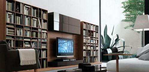 15個(gè)電視背景墻設(shè)計(jì)欣賞