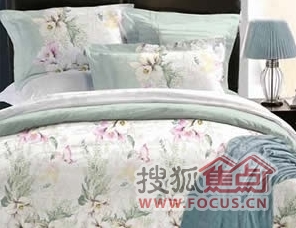 絢爛多姿歐式風(fēng)格布藝欣賞