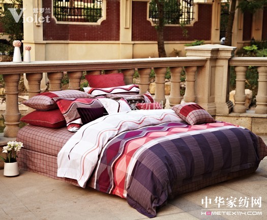 只為遇見你心中的最美紫羅蘭