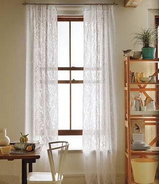 �����L���pӯ���������pӯ����