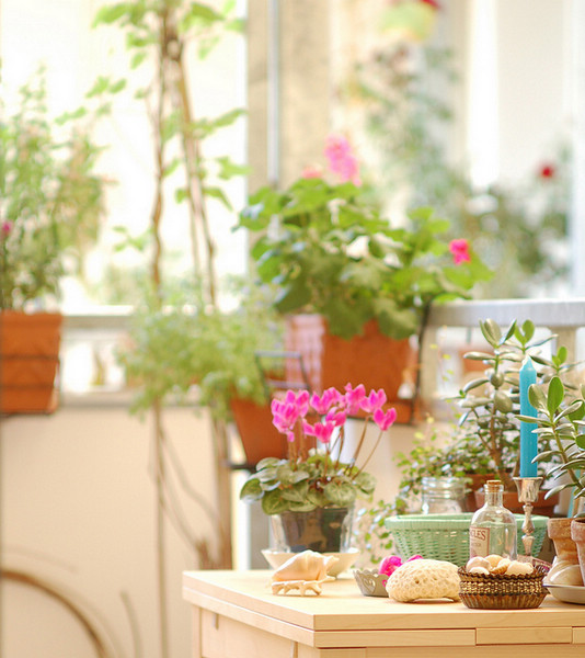 溫馨房間淺色拼貼的復古創意(2)