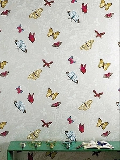 ��������15��Ψ�������ڼ�(��)