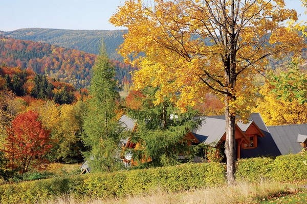 ��(m��ng)����沨�m�����l(xi��ng)�gС�e��(��)