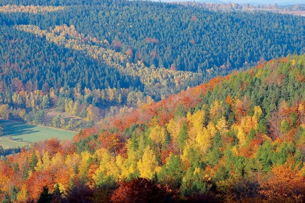 ������沨�m�����l�gС�e��(��)