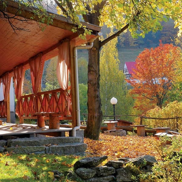 ������沨�m�����l�gС�e��(��)