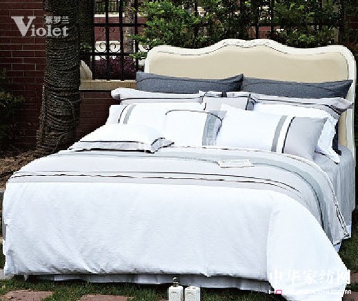 感悟人生路愛上紫羅蘭