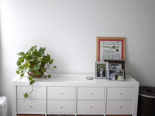 ���IŮ����17�D��ײɫ����(��)