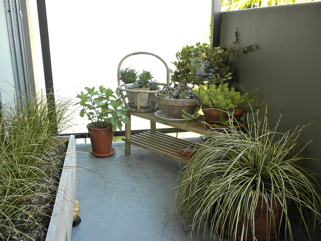 ���IŮ����17�D��ײɫ����(��)