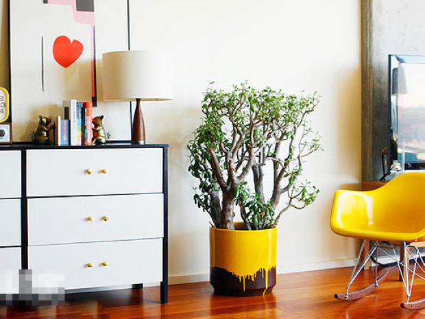 24款強化地板鋪裝方案(2)