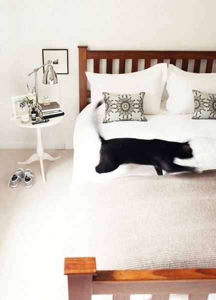 46款清新風格室內設計欣賞(4)