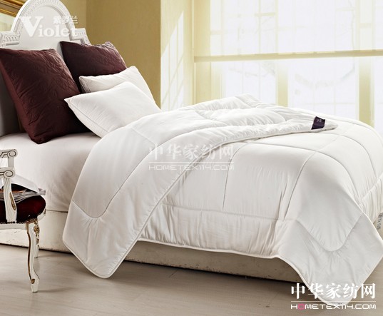 風(fēng)雨征程 紫羅蘭與你相伴永遠(yuǎn)